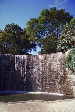 京都で舞子の姿を体験ができます