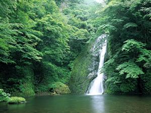静岡駅から徒歩5分の快適ビジネスホテル｜東横INN静岡駅北口の魅力と詳細情報