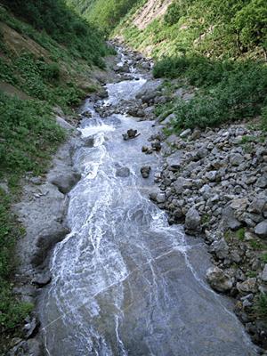 中島屋グランドホテルのレストラン「クロスロード」の魅力と特徴