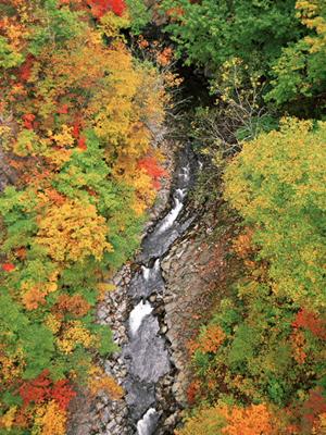 北海道札幌市のビジネスホテル【東横INN札幌駅南口】完全ガイド：アクセス・特徴・予約情報