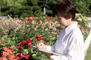 小田原でパチンコするならヒメカンにしょう