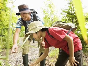 広島県福山市のビジネスホテル、東横INN福山駅新幹線南口の魅力と詳細情報