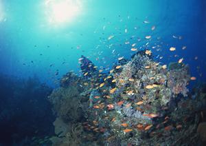 豊田市駅前に位置する快適なビジネスホテル：東横INN豊田市駅前の魅力と便利なポイント