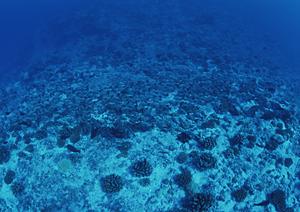 赤羽駅徒歩3分！アクセス抜群のビジネスホテル【東横INN赤羽駅東口】の魅力と詳細情報