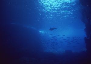 鹿児島市でビジネスホテルを利用しませんか