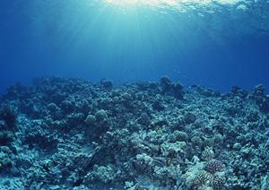 名古屋のビジネスホテル「東横INN名古屋錦」完全ガイド：快適な宿泊と便利なアクセスを提供