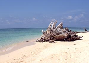 東横INN品川駅高輪口｜東京都港区のビジネスホテルで快適な宿泊体験を提供