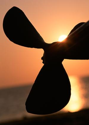 福島県いわき市に立地する東横INNいわき駅前の魅力と宿泊情報：快適なビジネス・観光拠点