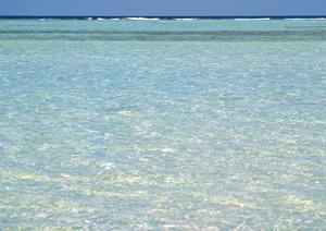 岡山駅から徒歩5分！ビジネスや観光に最適な東横INN岡山駅西口右の全てを徹底ガイド