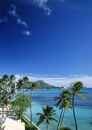 千葉県印西市のビジネスホテル【東横INN印旛日本医大駅前】の魅力と詳細情報