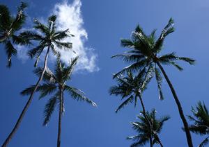 山口県岩国駅西口より徒歩5分の便利なビジネスホテル｜東横INN岩国駅西口の魅力と詳細情報