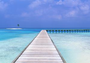 九州で安心して釣りが楽しめる釣り堀