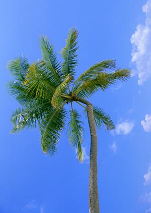 【新潟駅徒歩1分】東横INN新潟駅前の魅力と詳細情報：快適なビジネス・観光拠点を提供