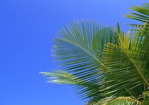 東京品川区のビジネスホテル：東横INN品川旗の台駅南口の魅力と特徴
