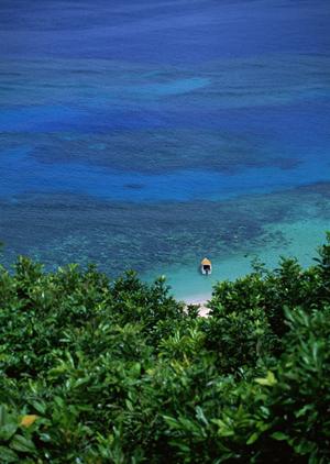 家族で楽しむ石垣島アクティビティ完全ガイド！子供も安心のアウトドア体験と思い出作り