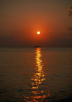 徹底した小人数制の名古屋のダイビングスクール