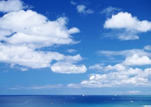 東横INNホスピタルイン獨協医科大学：快適な滞在と充実したサービスを提供するビジネスホテルの魅力