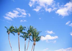 石垣島の魅力満載！絶景を楽しむアクティビティや地元ガイドとの交流を体験しよう